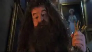 The Waffle Song