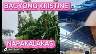SUPER TYPHOON KRISTINE SOBRANG LAKAS LIPAD BUBONG #kristineph #typhoonkristine #typhoon