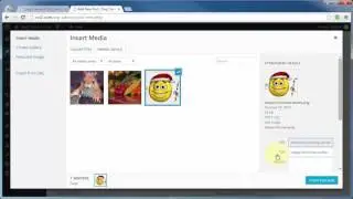 vid08 wordpress create post