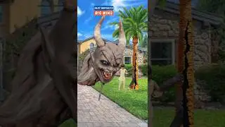 ali di pahchan hai rab di pahchan Islamic video 