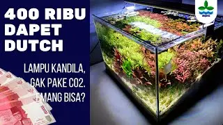DUTCH Style Budget Anak KOSAN. Tutorial, Diajarin Sampe Bisa!