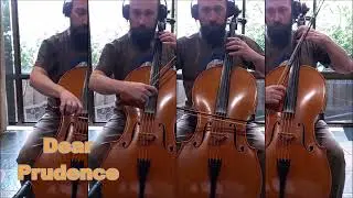 Dear Prudence - arranged for four cellos