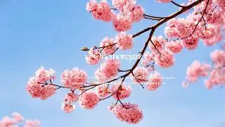 𝐏𝐥𝐚𝐲𝐥𝐢𝐬𝐭 봄 사랑 보사노바 | 빈티지 감성 재즈팝송  플레이리스트 playlist