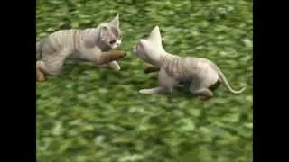 Sims 3: A sad kitten story