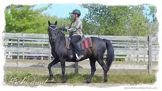 Flechi Droit: A Terrific Stretching Exercise #Shorts