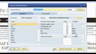How to Setup Licenses in SAP Business One.mp4