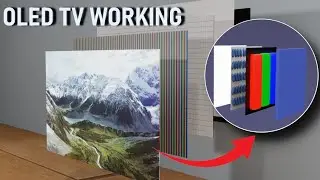 The Magic of OLED: How Do OLED TVs Work? (3D Animation) OLED टीवी कैसे काम करते हैं? #oled #display