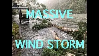 Waterwheel vs Trees