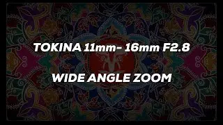 The Only Other Zoom Lens You Will  Ever Need ....Maybe