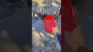 Primitive fishing techniques: catching fish with a basket trap