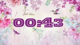 1 Minute Timer ⏱️ | Simple Countdown