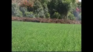 Mini Sprinkler | Product Video | Automat Irrigation
