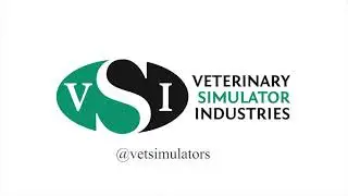 VSI Bovine Uterus Set Installation