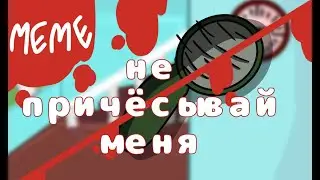 НЕ ПРИЧЁСЫВАЙ МЕНЯ! (13 карт) (meme/анимационный клип