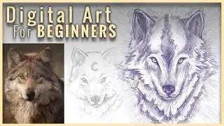 How To Draw A Wolf | Digital Art For Beginners