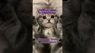Артикулы в шапке профиля💕 