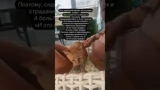 И это скоро пройдет