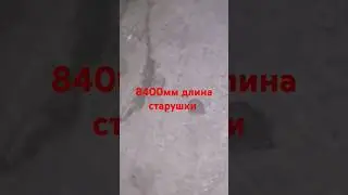 у кого сколько была длина цельной струшки ?