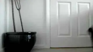 zxzxzx