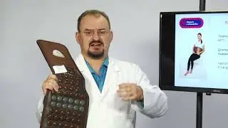 NM90 Нуга Бест. Пищеварительная система. Доктор Голод.