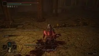 Elden Ring Gideon in 5 seconds. Bleed is broken.