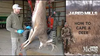 How To Cape a Deer | Jared Mills