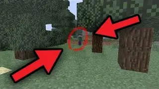 HEROBRINE OPROEPEN IN MINECRAFT! (HIJ BESTAAT)