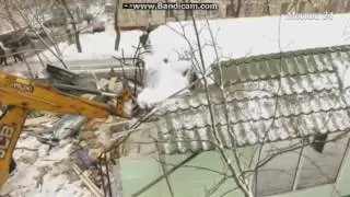 начало часа москва 24 14.02.2017 