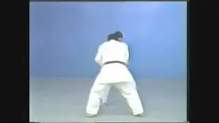 Hiki komi gaeshi