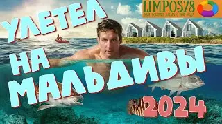 Мальдивы 2024. Летим из Москвы через Стамбул.