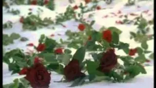 Домогаров  - 