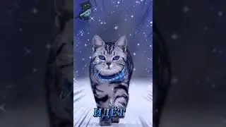 Счастье идёт к Вам