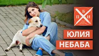 ЮЛИЯ НЕБАБА: от волонтёра до сотрудника /приют для бездомных собак ПИФ/помощь от неравнодушных