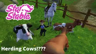 Finding Mary's lost Animals l Starshine Ranch l SSO