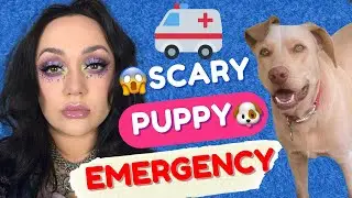 SCARY PUPPY EMERGENCY! Chit Chat Get Ready With Me