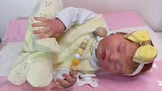 TROQUINHA DE LUXO COM A BEBÊ REBORN ANA LAURA#kitlaura