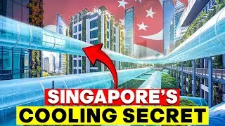 How Singapore Uses Science to Stay Cool