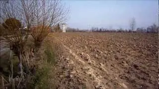 Stroperi, salici da vimini (stropari); alberi sempre più rari