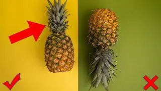 Is it POSSIBLE to grow a pineapple AT HOME?