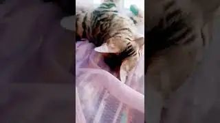 насамом деле лето почти только началось