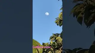 Gozada