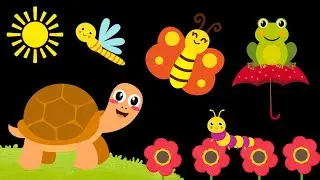 Baby Sensory Video - Tummy Time - Sensory Videos for Babies - Visual Stimulation for Newborn #baby