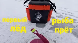 Первый лёд 2021-2022. Щука Окунь.