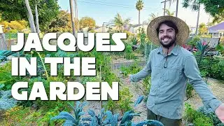 Jacques in the Garden | Channel Intro