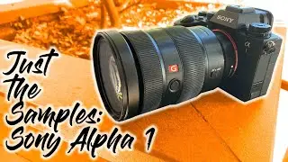 Just the Samples- Sony Alpha 1