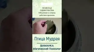 Трейлер к видео от Птицы Мудрой 