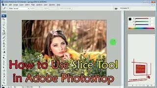 How to Use Slice Tool in Photoshop
