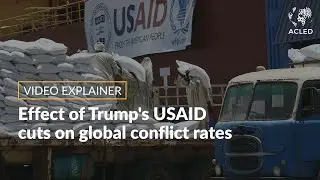 Effect of Trump's USAID cuts on global conflict rates