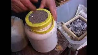 Восковая моль или огневка пчелиная  Как вырастить и размножать восковую моль  НАСТОЙКА ОГНЕВКИ