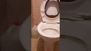 мою квартиру затопило